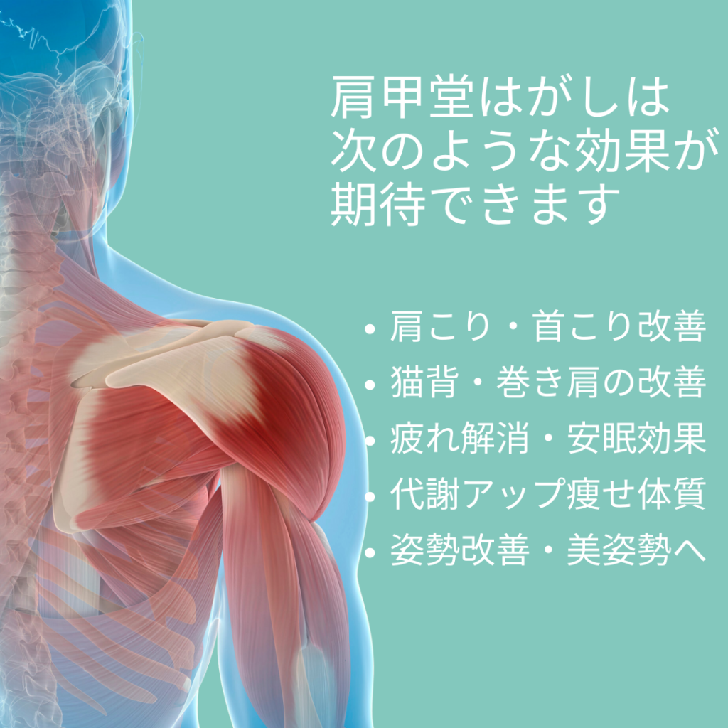 肩甲堂はがしは
次のような効果が
期待できます。
肩こり・首こり改善
・猫背・巻き肩の改善
・疲れ解消・安眠効果
・代謝アップ痩せ体質
・姿勢改善・美姿勢へ